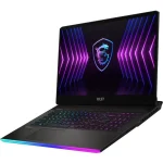MSI Raider GE77HX 12UHS-074US